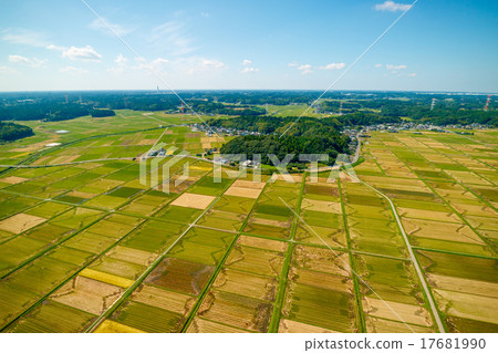 Aerial photograph of rural scenery where rice harvesting reached quiet autumn 17681990