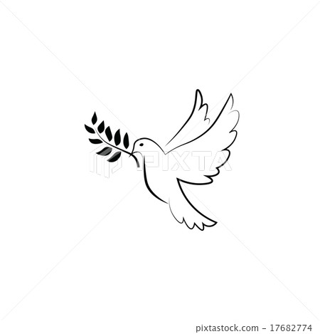 Pigeon olive peace 17682774
