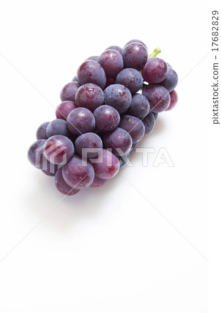 葡萄（伊豆錦） 17682829