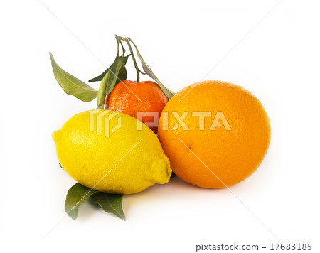 Fresh citrus fruits Fresh citrus fruits 17683185