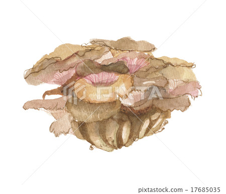 Mai Morimake 17685035