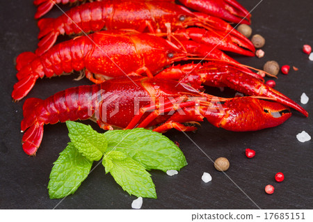 Crayfish 17685151
