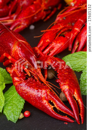 Crayfish Crayfish 17685152