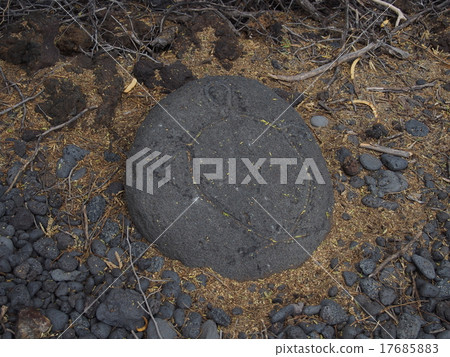 Waikoloa Petroglyphs 17685883