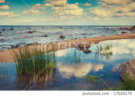 Baltic sea coast 17688279