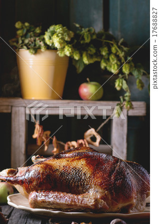 Roast goose with apples 17688827