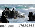 Basal coast of the wild waves 17689868