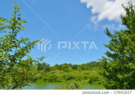 Landscape at the waterside 17691027