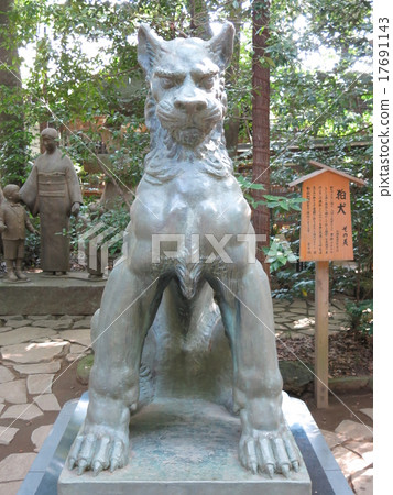 在Nagareyama市Komagi(Shikata)的Su訪神社的獅子狗 在Nagareyama市Komagi(Shikata)的Su訪神社的獅子狗 17691143