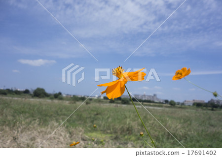 宇宙和天空 宇宙和天空 17691402