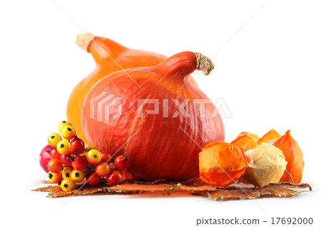 Autumn decoration with hokkaido pumpkins Autumn decoration with hokkaido pumpkins 17692000