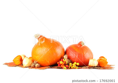 Autumn decoration with hokkaido pumpkins Autumn decoration with hokkaido pumpkins 17692001