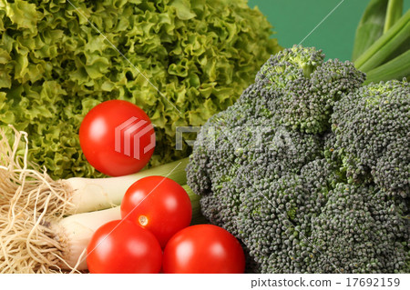 Fresh vegetables Fresh vegetables 17692159