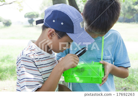 Elementary school student taking beetle 17692263