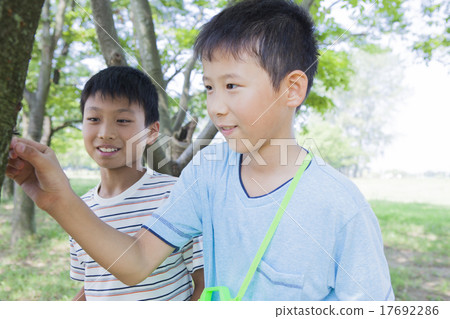 Elementary school student taking beetle 17692286