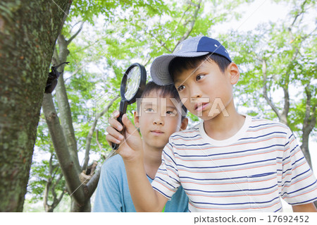 Elementary school student taking beetle 17692452