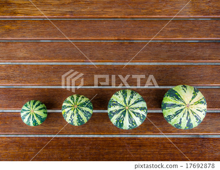Cucurbita pepo still life green pumkins arranged 17692878