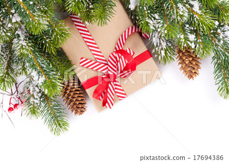 Christmas tree branch with snow and gift box Christmas tree branch with snow and gift box 17694386