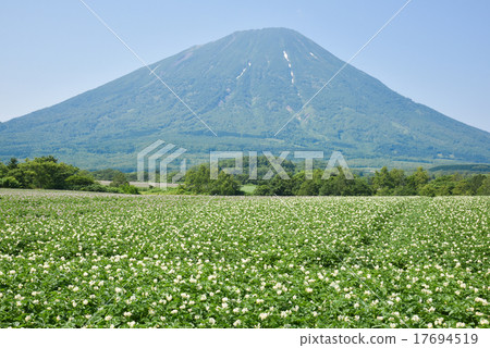 Mount Yotei Mount Yotei 17694519