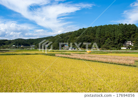 Musashino no Iahaha landscape 17694856