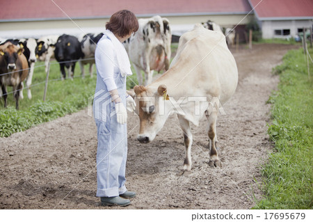 A woman working in a farm A woman working in a farm 17695679