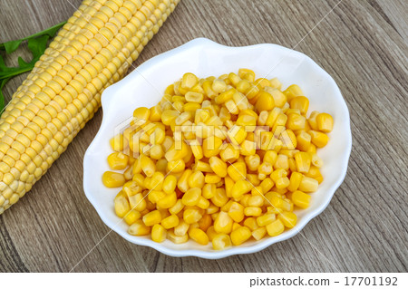 Sweet corn 17701192