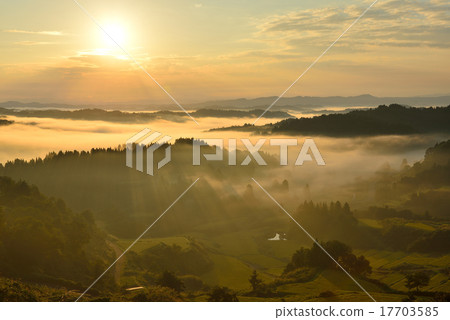 星際通行證 17703585