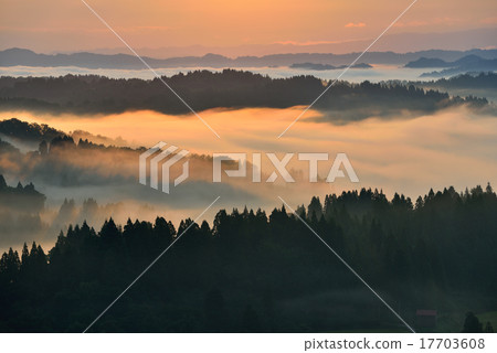 星際通行證 星際通行證 17703608