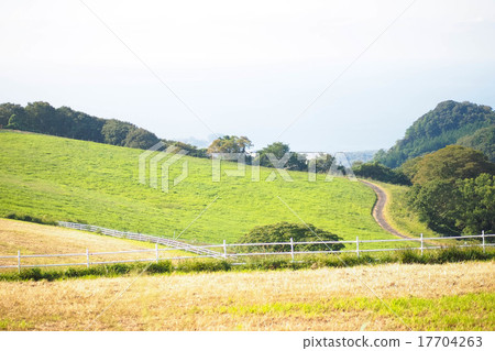 Country landscape Country landscape 17704263