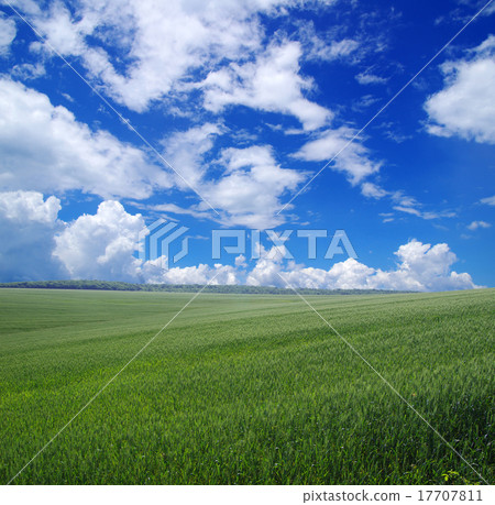 green field green field 17707811
