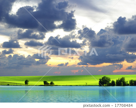 field field 17708484