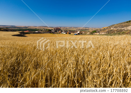 European summer landscape with village among fields. Palenzuel European summer landscape with village among fields. Palenzuel 17708892