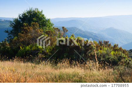 Mountains landscape of Galicia 17708955
