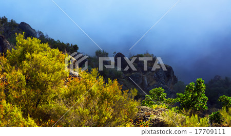 Fog at mountains Fog at mountains 17709111