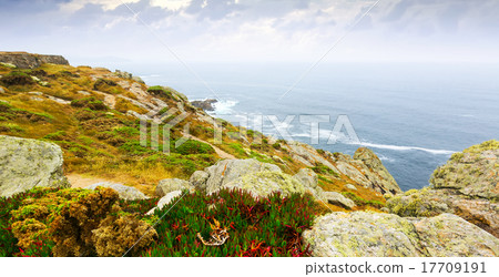 ocean coast ocean coast 17709191