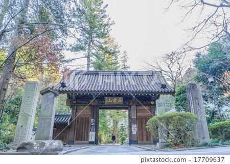The mountain gate of Zuihoji Temple in spring 17709637