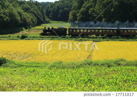 莫卡鐵道“金色田園風光與SL莫卡” 17711817