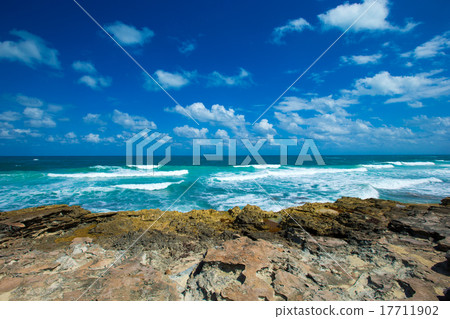 tropical sea 17711902