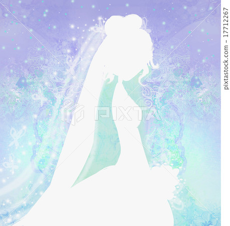 Elegant bride in big white dress - silhouettes  17712267