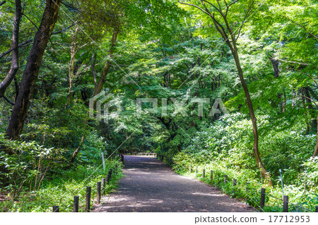 附屬自然教育公園散步 附屬自然教育公園散步 17712953