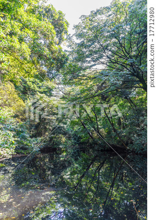Attached natural education garden Hyoutango pond 17712980
