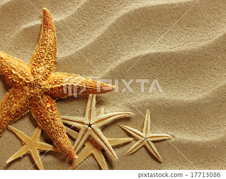 Sea shell on sand Sea shell on sand 17713086