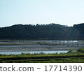 Horai Bridge和Oigawa 17714390