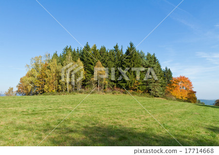 autumn landscape 17714668