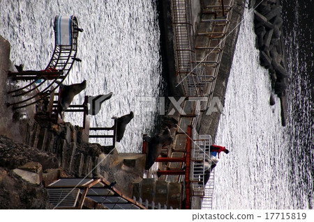 Todo _小樽水族館 17715819