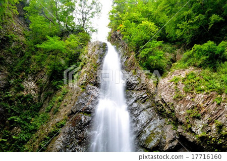 Shirakami mountain · Dark gate waterfall · White cloth beautiful second waterfall (middle view) Shirakami mountain · Dark gate waterfall · White cloth beautiful second waterfall (middle view) 17716160