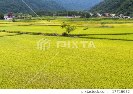 Immediate Shutdown Water Pond, Taiwanese Town Eastern. 17716682