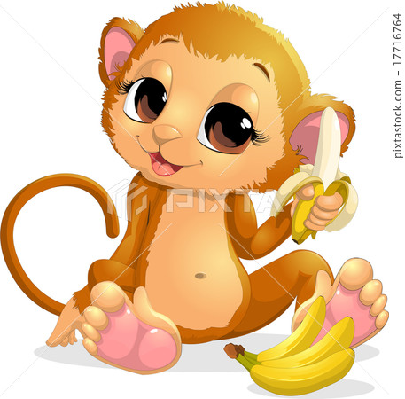 monkey 17716764