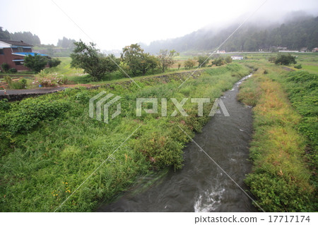在富山縣毛細雨中的Shiranewa河 17717174