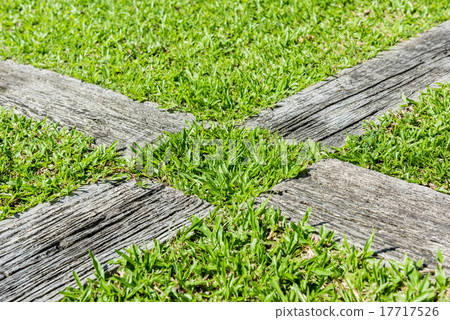 Gravel texture and strip grass Gravel texture and strip grass 17717526